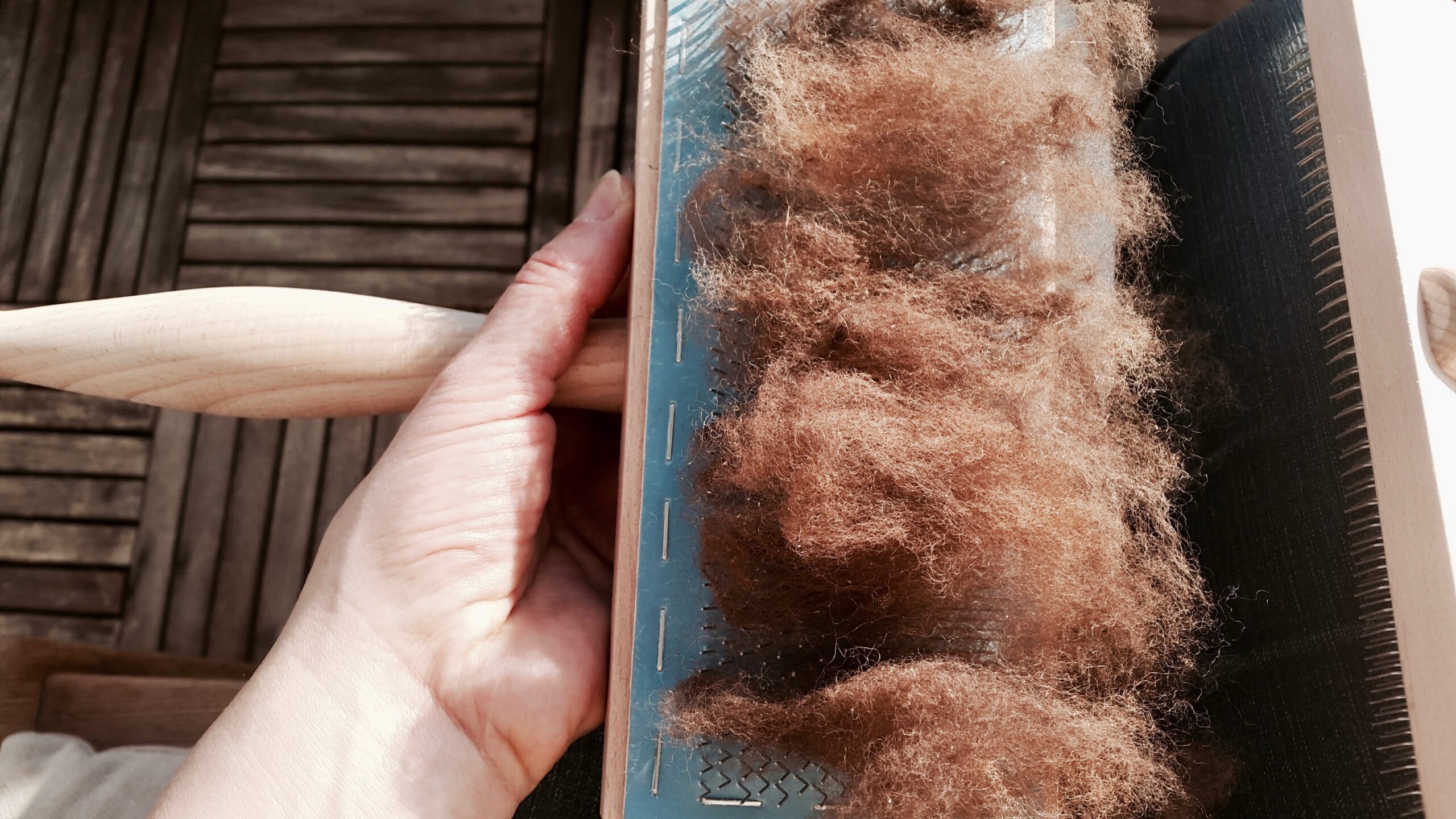 Spinnworkshop bei Pro Spezia Rara